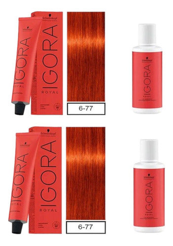 Schwarzkopf Igora Royal Hair Color Kit 6-77+ 2 Oxidants 60ml 0