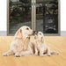 Pet Door Medium for Dogs and Cats with Flap Lock 1 3