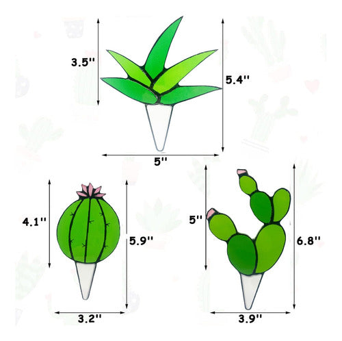 Lsbdjdl 3 1 Vegetación Suculenta, Vegetación Suculenta Juego 6