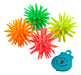 Pet Toy Ball for Dogs 5cm Reward 2