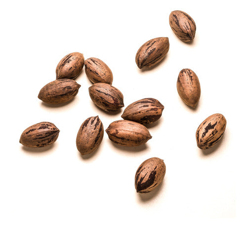 2024 Unpeeled Pecan Nuts Organic from the Delta - 1kg 1