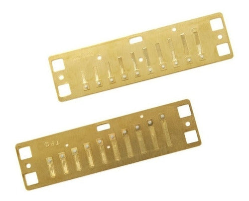 Lee Oskar Major Diatonic Harmonica Reed Plates A,B,C,F,G 1