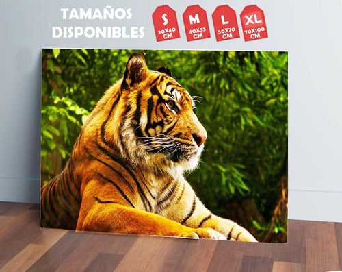 Memo Estampados Tiger Frame 70x100 MDF 1