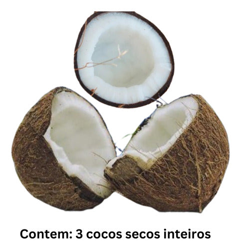 3 Cocos Secos Inteiros C/casca Cocada Nucífera 0