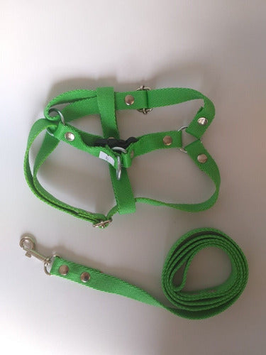 Adjustable Harness with Leash Size 2 for Medium Dogs 0