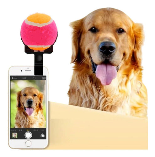 MC Multicolor Selfie Balls for Dogs and Cats 0