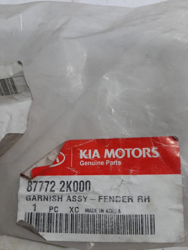 Kia Moldura Lateral Luz Giro Derecha 09/13 3