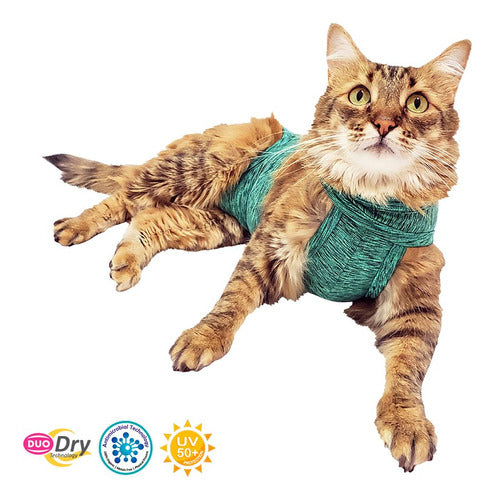 Roupa Pós Cirúrgica Para Gatos Pet Med Duo Dry - Verde - N1 1