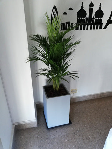 Areca Palm + Fibrocement Prism Planter + Plate 2