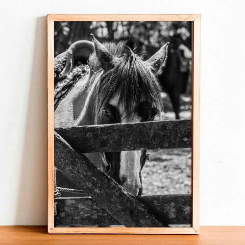 Horses Photos Picture Frame Various Models 1