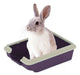 Rabbit Rodent Small Sanitary Tray Litter Box 0