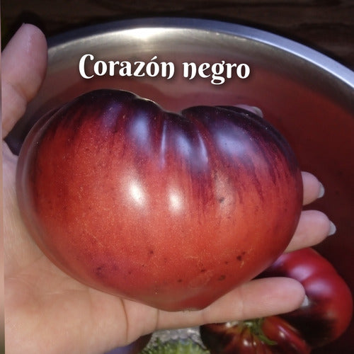 Orgânica Semillas Orgánicas, Tomate Corazón Negro 0