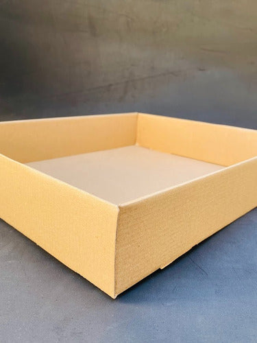 Pack of 30 Microcorrugated Cardboard Trays 34x29x6 cm 4