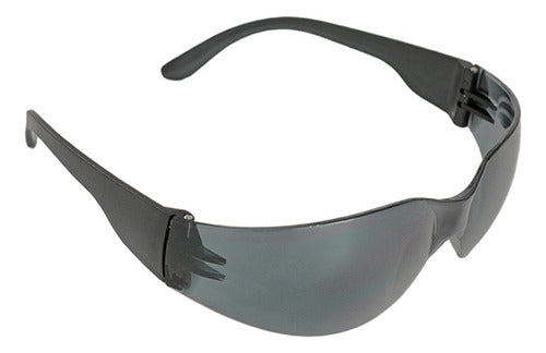 Libus Ecoline Gray Safety Goggles Pack of 10 - Model 900555 0