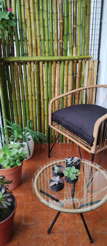 Bamboo Canes Pergola Panel Fence 100x150 cm 1 Quality 3