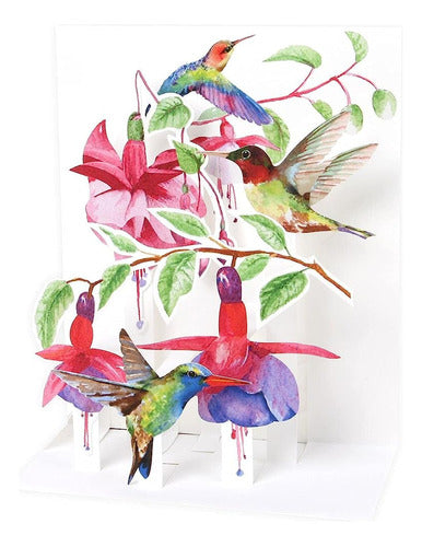 Up With Paper Pop-up Sight 'n Sound Greeting Card - Colibríe 0