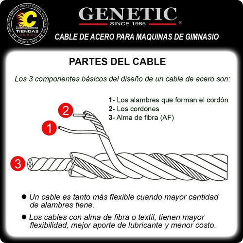 Genetic 5 Guardacabo 1/8 Acero Galvanizado Maquinas Gimnasio 3