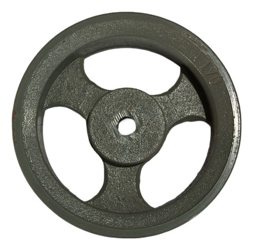 Favero SA Cast Iron Pulley for Series A 170mm 2 Channels 0