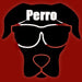 Remera Perro 0