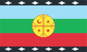 Rapi Arte Mapuche Flag 45 X 30cm Official Reinforced with Ropes 1