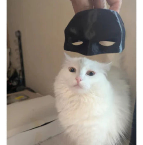 Batcat (capacete De Gato Do Batman) 2