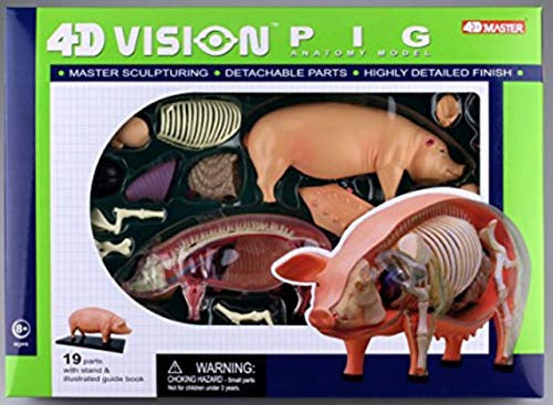 Tedco 4D 26102 Pig Anatomy Model - One Color 0