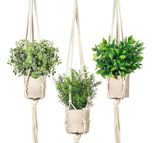 Shohayto Package of 3 Mini Hanging Fake Plants with Macrame Hangers 0