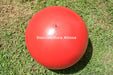 Pelota Esferodinamia Gym Ball 45 Cm 450 Gramos Pilates Rehab 2