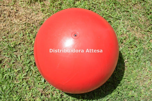 Pelota Esferodinamia Gym Ball 45 Cm 450 Gramos Pilates Rehab 2