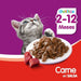 Whiskas Pouch Kittens Beef in Sauce 85g x 12 Units 2