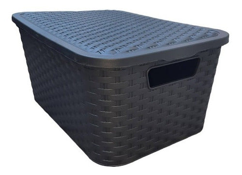 2 Plastic Rattan-Like Medium-Size Storage Baskets with Lid 14