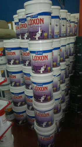 Sherwin Loxon Latex Antimanchas 10 Liters Washable Interior 4