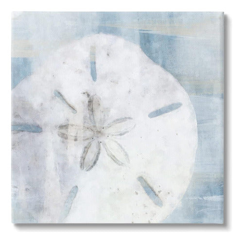 Stupell Industries Pastel Blue Sand Dollar Seashell Canvas W 0