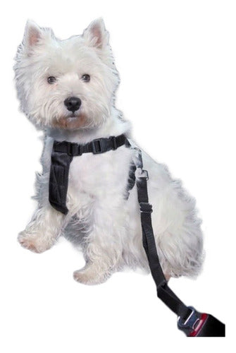 Oregon Pet Safety Belt for Car - Reinforced Dog Leash 3