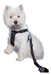 Oregon Pet Safety Belt for Car - Reinforced Dog Leash 3