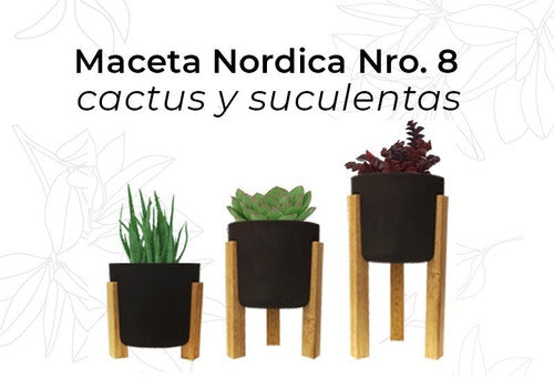 Eggys Nordic Plastic Cactus Pots 3D Premium N°8 Pack 2