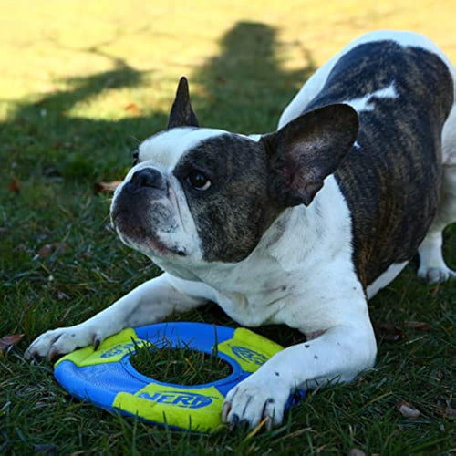 Nerf Dog Juguete Para Perros Con Anillo Para 2