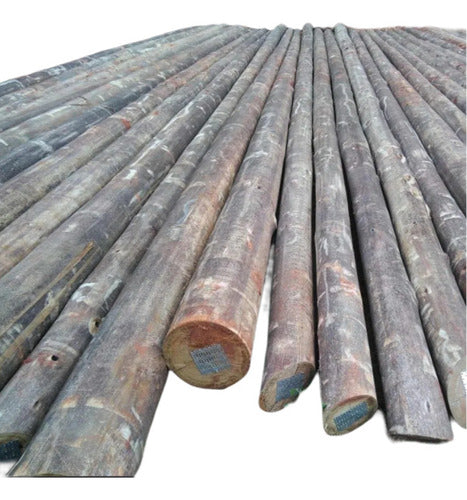 CCA Treated Eucalyptus Posts 13 Meters for Wholesale 1