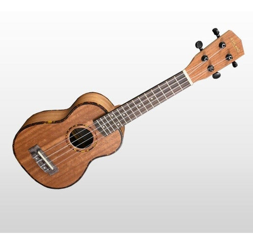 Ukelele Soprano Ashland Uk217s Envio Nuevo 0