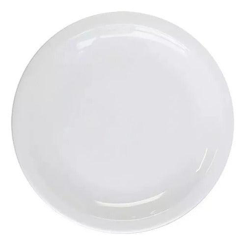 Set of 12 25cm Gastronomic Porcelain Dinner Plates by Tsuji - Model 450 0