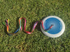 Giroloco Orbital Kite Tail Frisbee 2