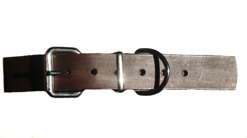 Premium Leather Dog Collar for Medium Breeds 3 cm Wide 5