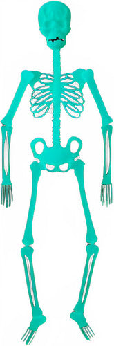 Manzana Cotillon Large Fluorescent Skeleton Halloween Decoration 0