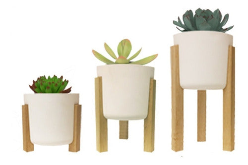 Mini Succulent Cactus Planters N8 Nordic Set of 3 20