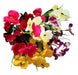 Allways Flowers Ramo Orquidea Artificial Pack X 6 1870 6