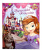 Disney Princess Sofia Birthday Poster 50 X 40 Cm Official Decoration 0