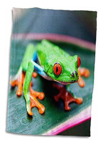 3dRose Toalla De Mano 3D Rose Red Eyed Tree Frog On Leaf-Costa Rica 0