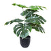 Planta Artificial Costilla De Adam 45 Cms Con Maceta Deco 0