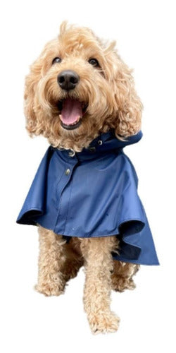 Piloto Lavarropa Cocooning Scott Azul Impermeable Perros L 0