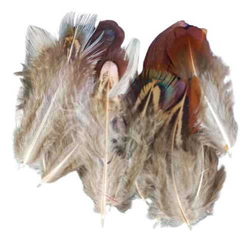 Mini Pheasant Feather x 25 Pack Souvenir Dreamcatcher 0